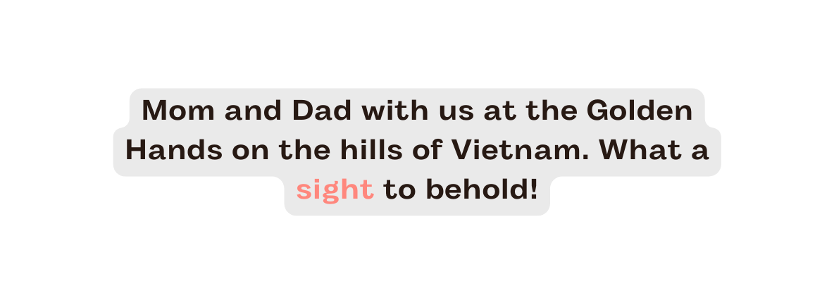 Mom and Dad with us at the Golden Hands on the hills of Vietnam What a sight to behold