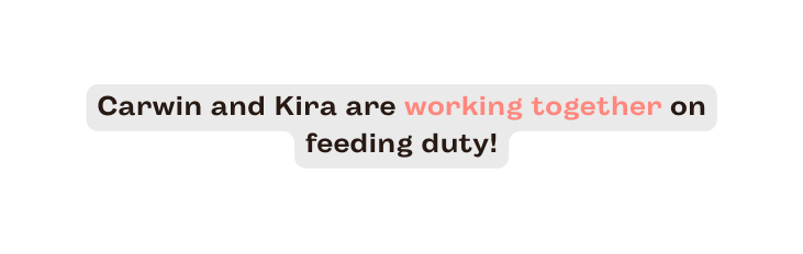 Carwin and Kira are working together on feeding duty